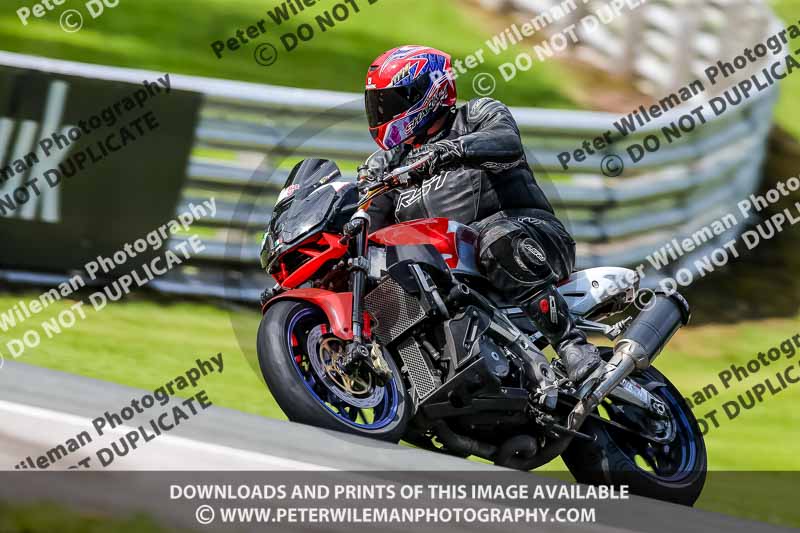PJ Motorsport 2019;anglesey;brands hatch;cadwell park;croft;donington park;enduro digital images;event digital images;eventdigitalimages;mallory;no limits;oulton park;peter wileman photography;racing digital images;silverstone;snetterton;trackday digital images;trackday photos;vmcc banbury run;welsh 2 day enduro